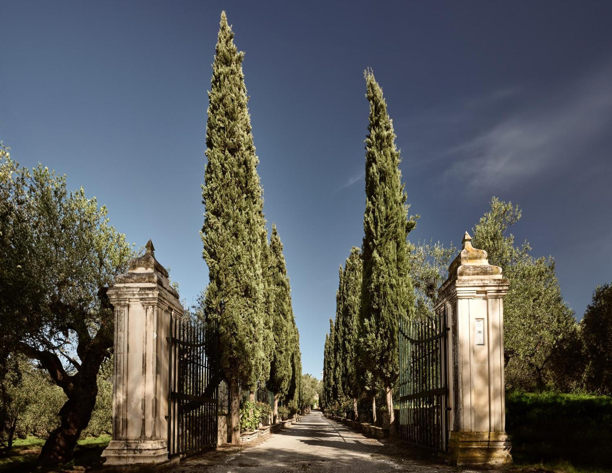 Almeira 4Acre Estate, For Unparalleled Seclusion, By Thinkvilla Zakintos Dış mekan fotoğraf