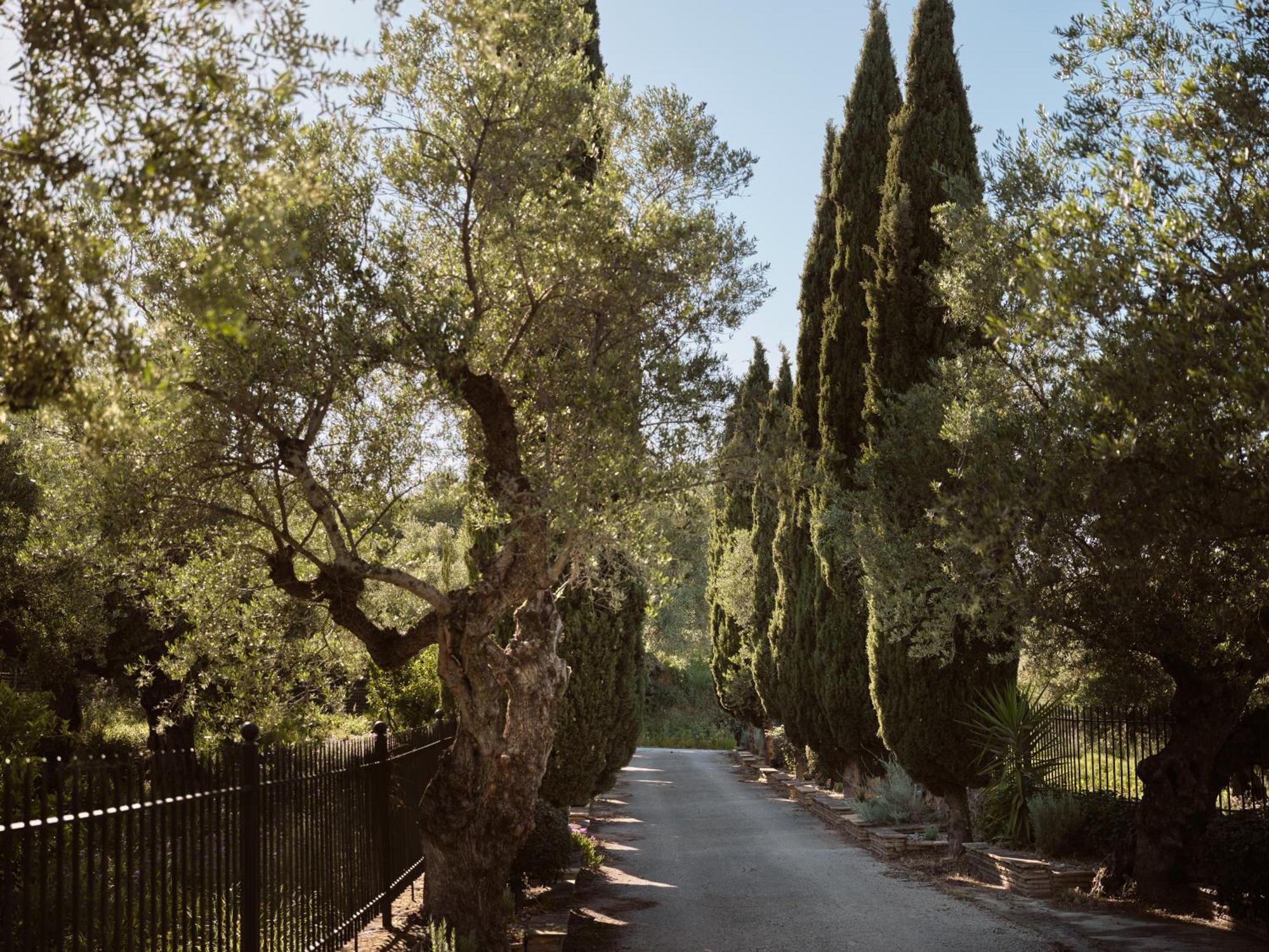 Almeira 4Acre Estate, For Unparalleled Seclusion, By Thinkvilla Zakintos Dış mekan fotoğraf